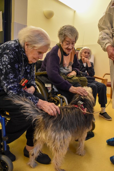 Pet therapy e gli anziani – Orpea Pet therapy e gli anziani - Orpea