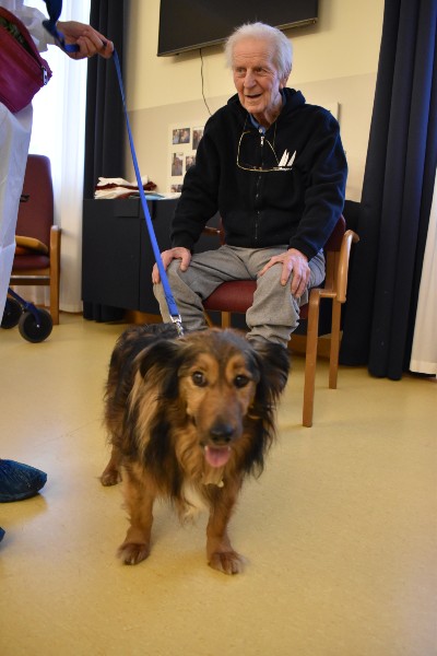 Pet therapy e gli anziani – Orpea Pet therapy e gli anziani - Orpea